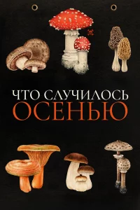 Ӵτ0 сvnlychcuvnl0сb 0сekvjbю