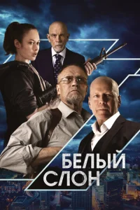 ƃevnlӹil1 сvnl0kvj